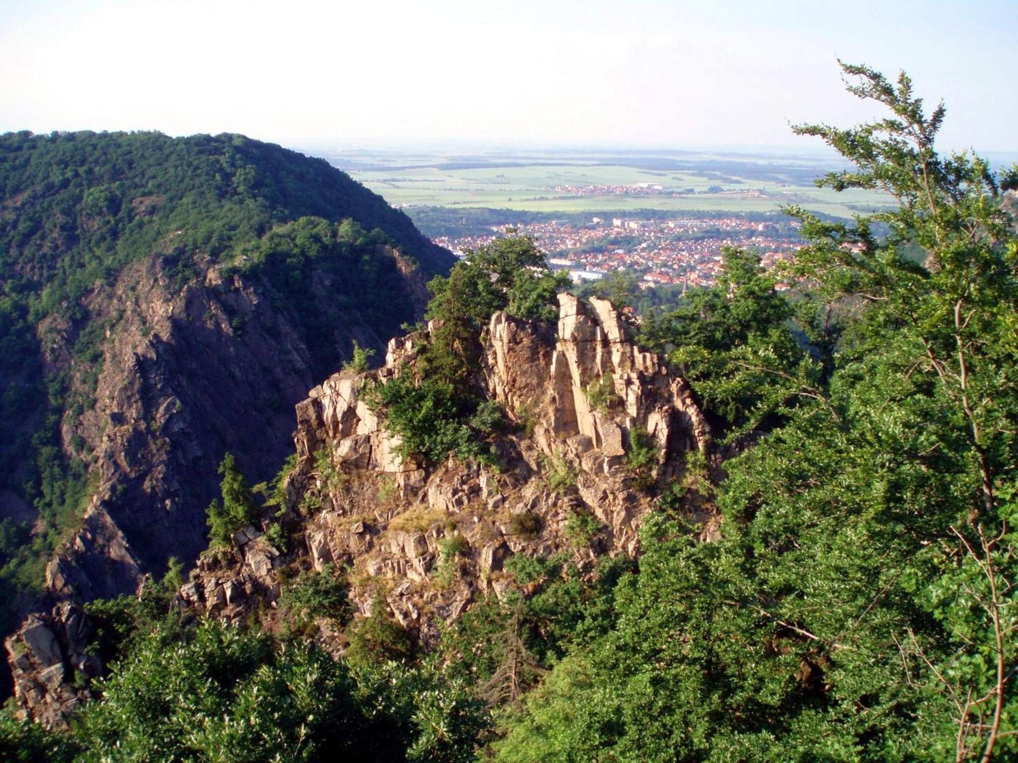 Apartment 1 Langelsheim Harz מראה חיצוני תמונה